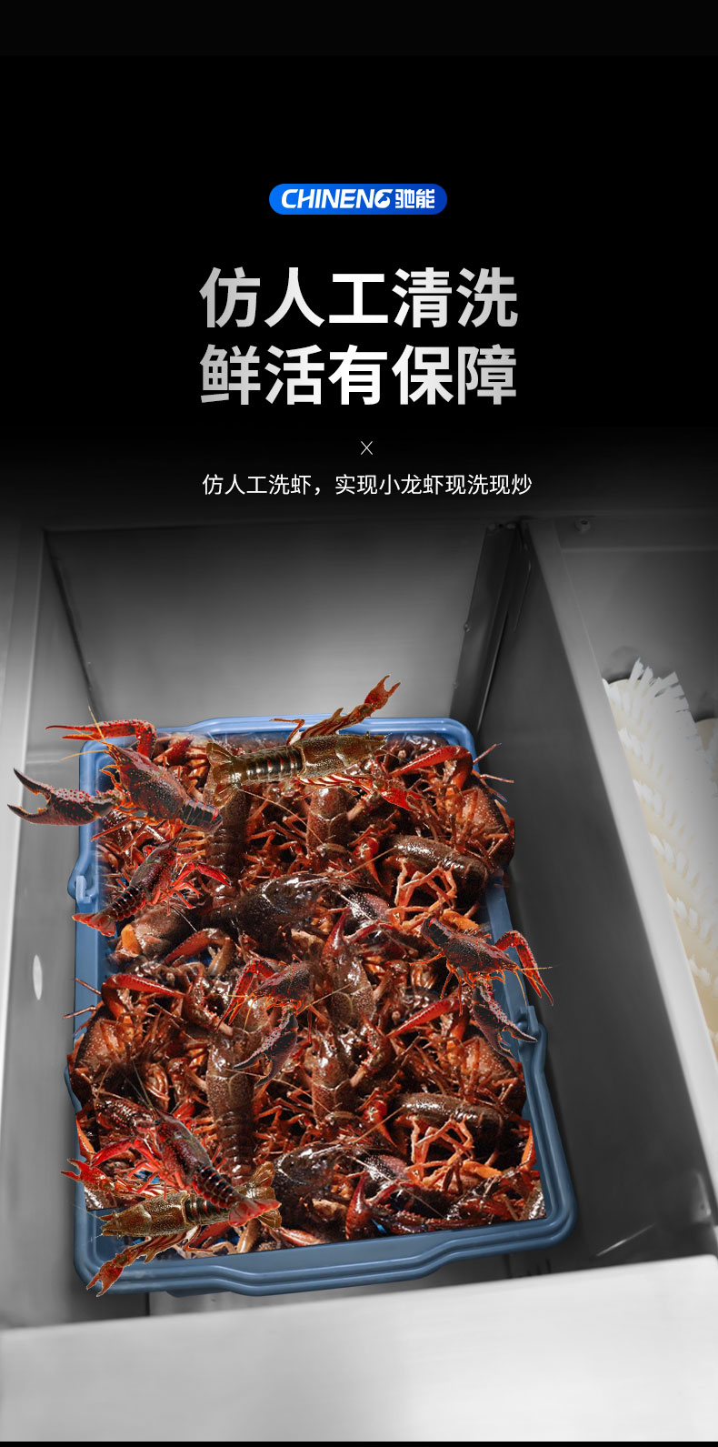 太阳集团小龙虾清洗机仿人工清洗